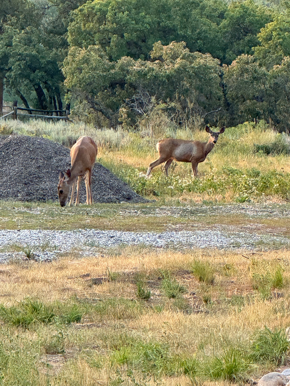 152 S PINE DR #33 Huntsville, UT 84317