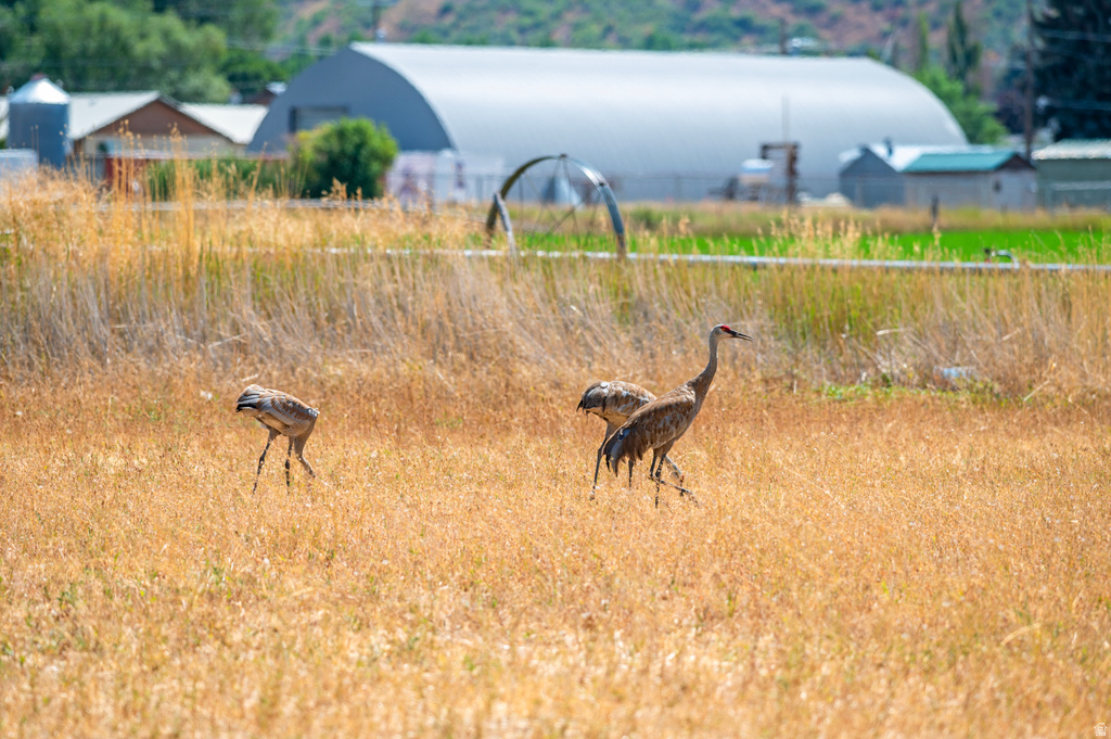 364 W 3000 S Daniel, UT 84032