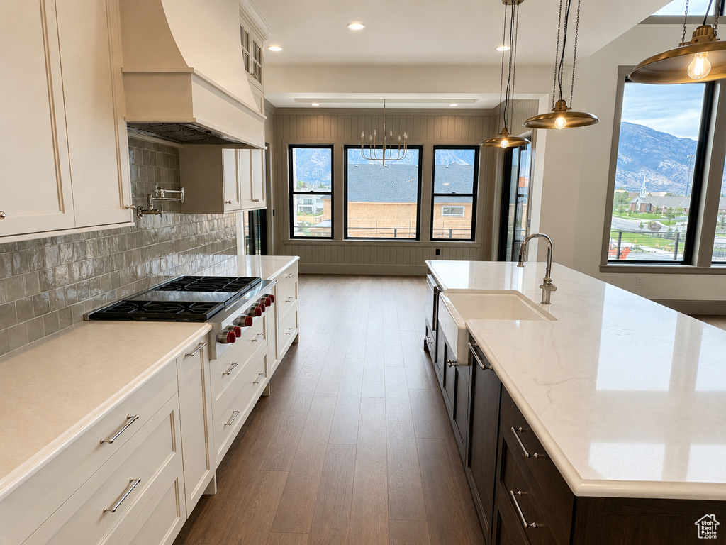 Gourmet kitchen featuring a large central island with a farmhouse sink, stainless steel range, light-toned cabinetry, and wood-finish flooring