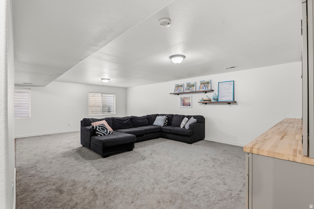 13741 S ROSIE LN Herriman, UT 84096