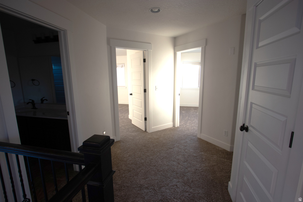 951 W GRIZZLY WULFF DR Bluffdale, UT 84065