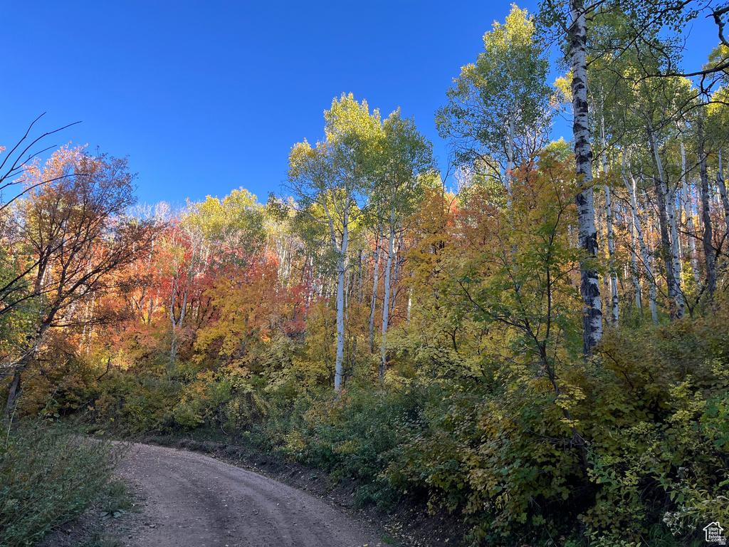 28 MOOSE HORN RD, #28 Coalville, UT 84017