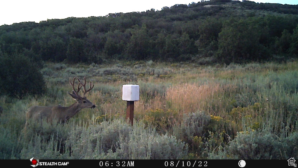 28 MOOSE HORN RD, #28 Coalville, UT 84017