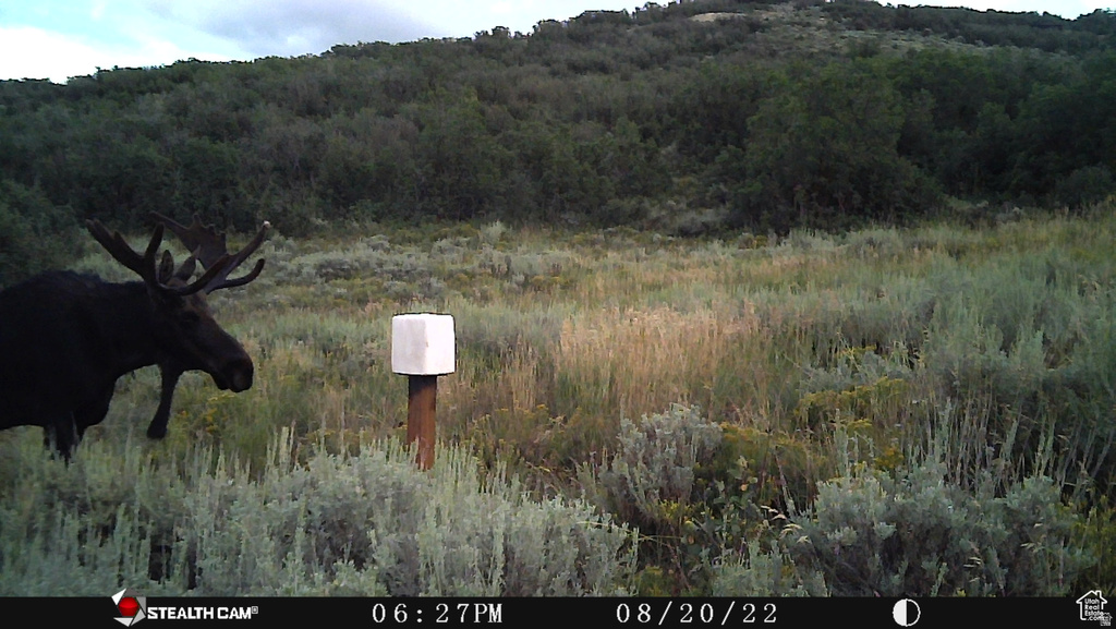 28 MOOSE HORN RD, #28 Coalville, UT 84017