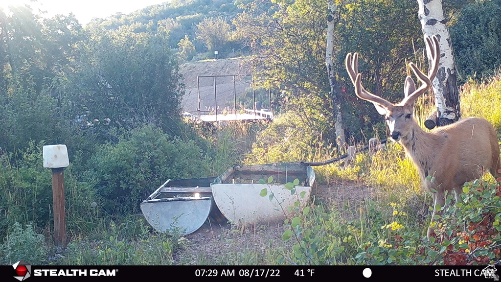 28 MOOSE HORN RD, #28 Coalville, UT 84017