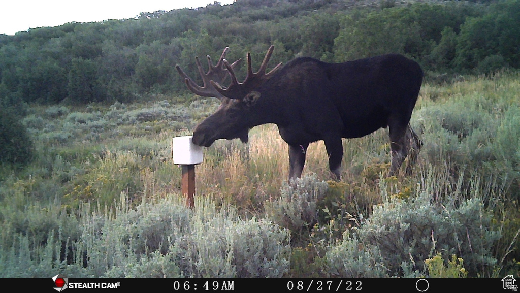 28 MOOSE HORN RD, #28 Coalville, UT 84017