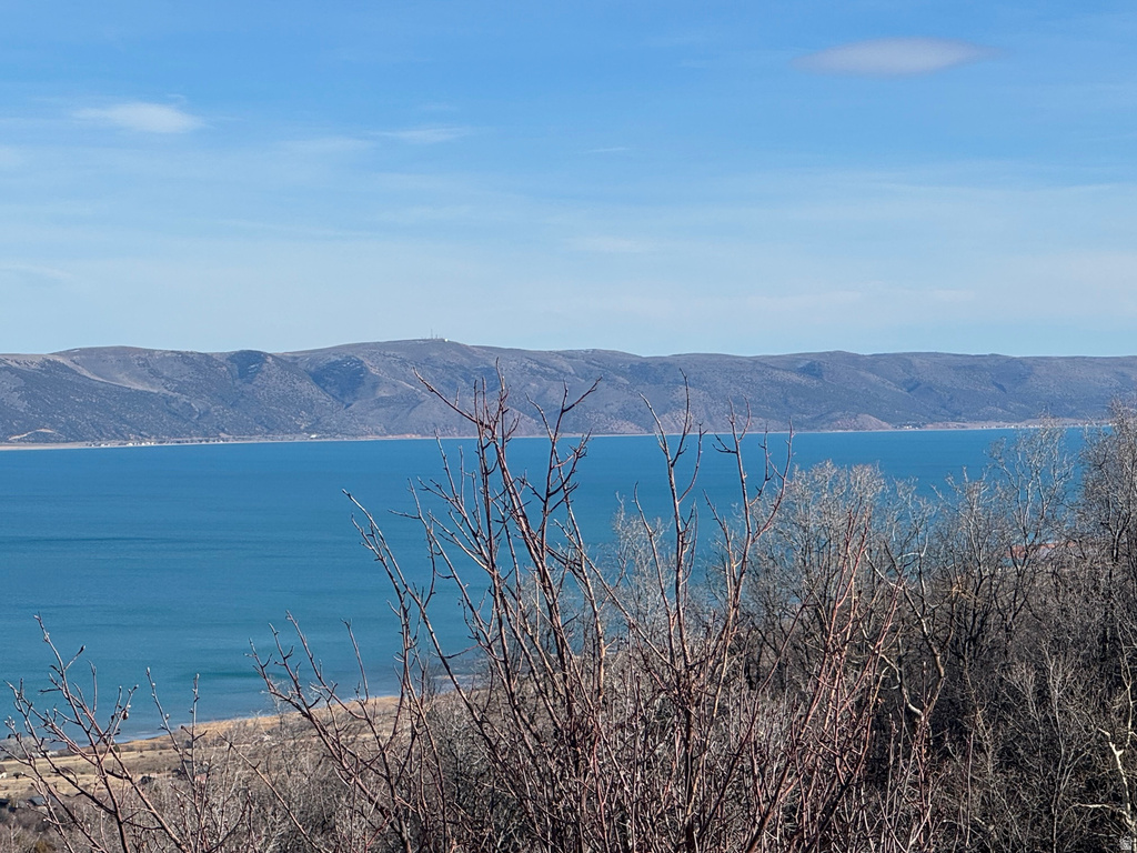 355  CALAMITY DR Fish Haven, ID 83287