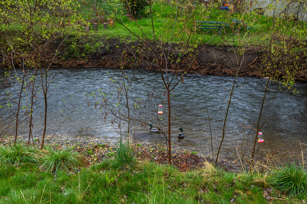 4770 S 700 E #141 Murray, UT 84107