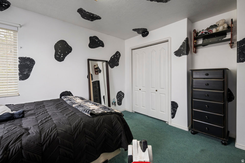 4851 E LAKE CREEK RD Heber City, UT 84032