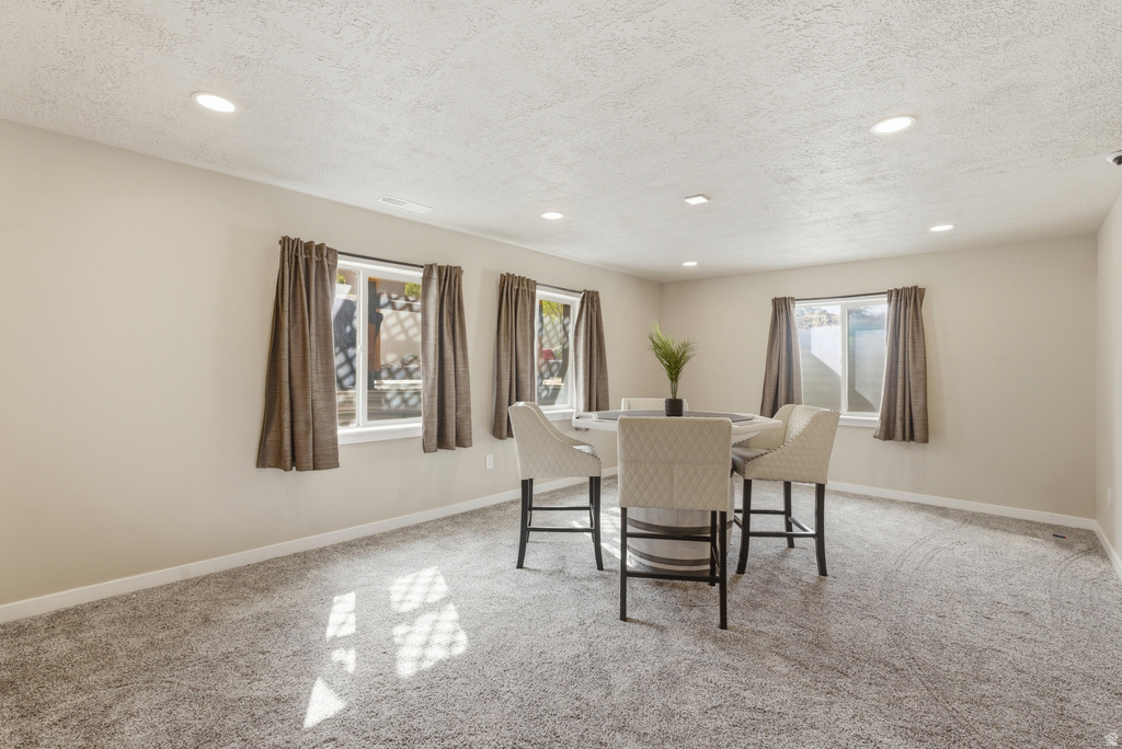 1497 W MEADOW GLEN DR Bluffdale, UT 84065