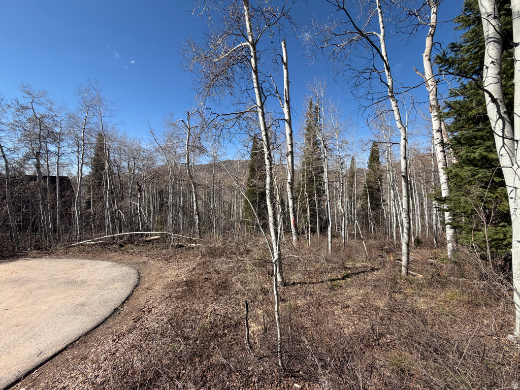 5209  WHITE PINE CIR Oakley, UT 84055