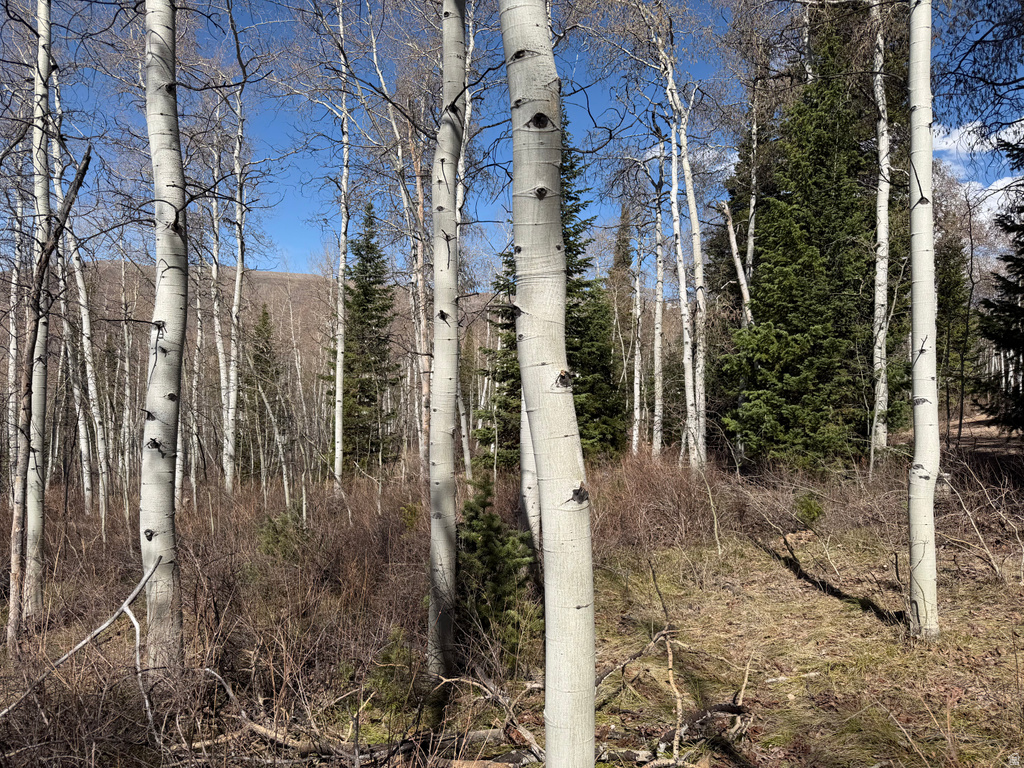 5209  WHITE PINE CIR Oakley, UT 84055