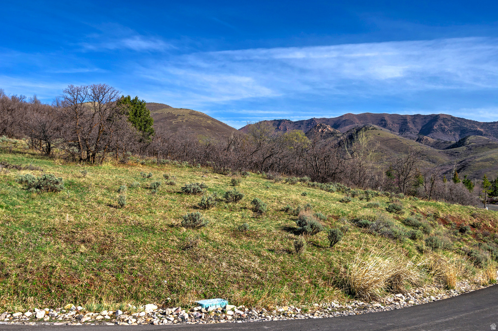 6219 E DONNER TRAIL CIR Salt Lake City, UT 84108