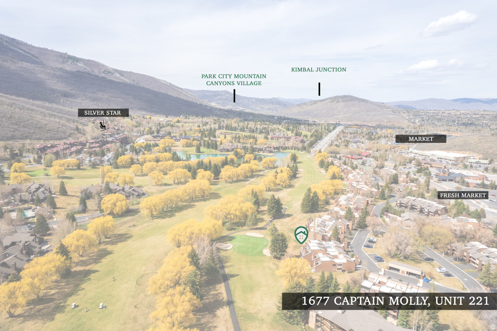 1677 CAPTAIN MOLLY DR #221 Park City, UT 84060