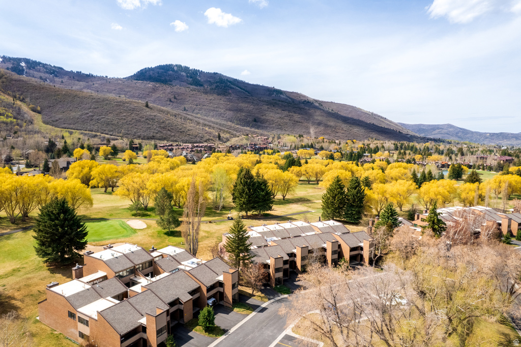1677 CAPTAIN MOLLY DR #221 Park City, UT 84060