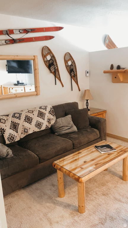 150 W RIDGEVIEW DR #117 Brian Head, UT 84719