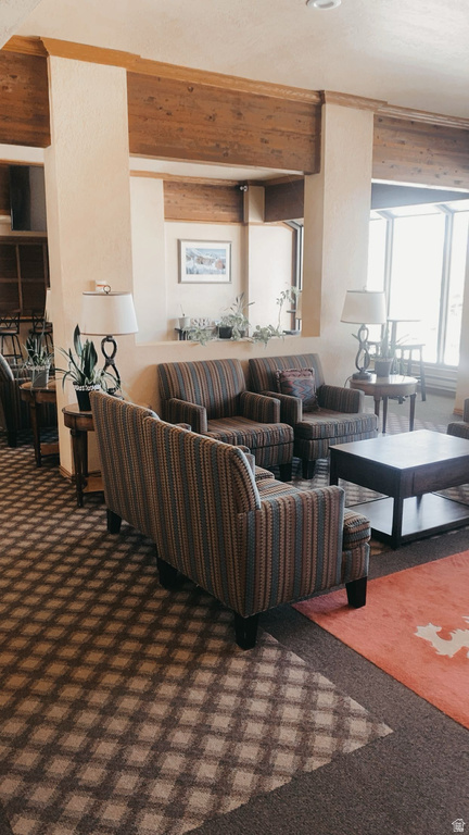 150 W RIDGEVIEW DR #117 Brian Head, UT 84719