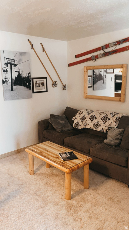 150 W RIDGEVIEW DR #117 Brian Head, UT 84719