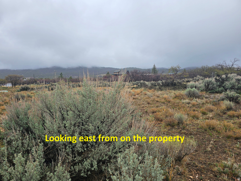 65  SPRING CREEK DR Fairview, UT 84629