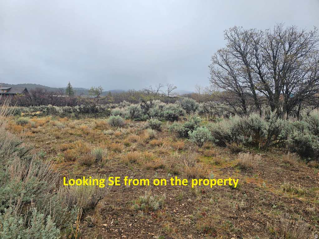 65  SPRING CREEK DR Fairview, UT 84629