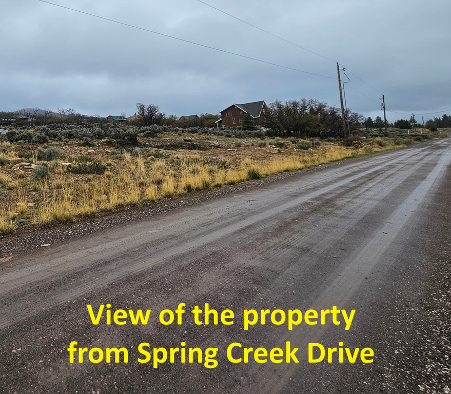 65  SPRING CREEK DR Fairview, UT 84629