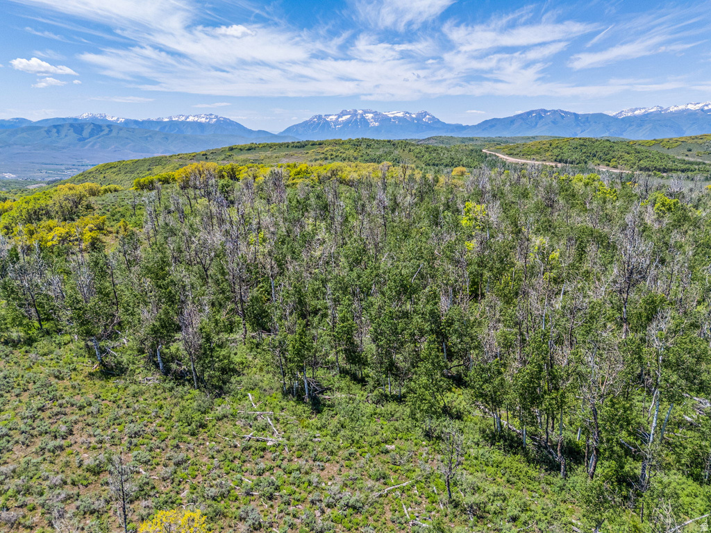 7367 E FOREST CREEK RD Heber City, UT 84032