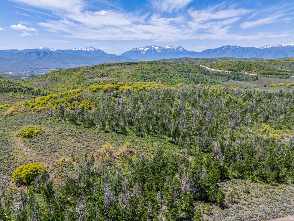 7367 E FOREST CREEK RD Heber City, UT 84032