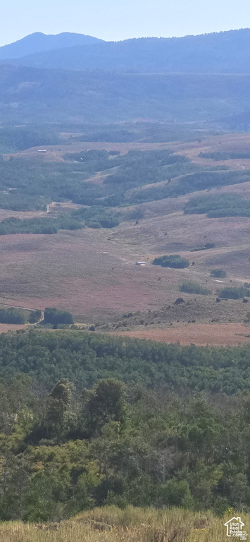 4000  ANT FLAT RD Avon, UT 84328