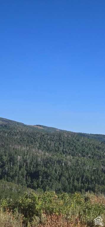 4000  ANT FLAT RD Avon, UT 84328