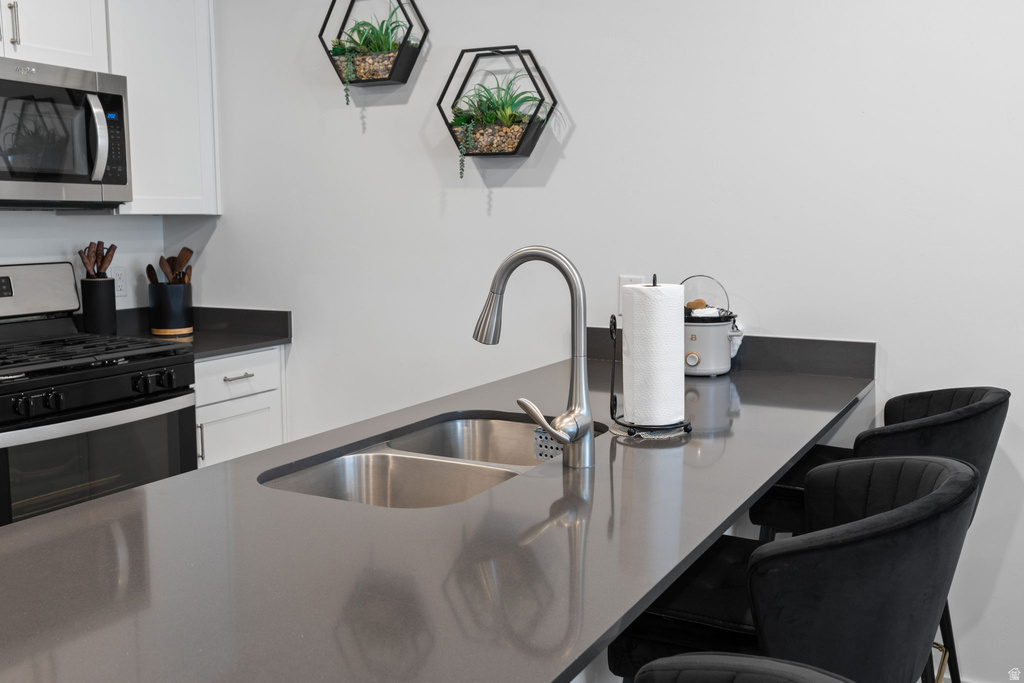 3881 S SILVER BANK DR Magna, UT 84044