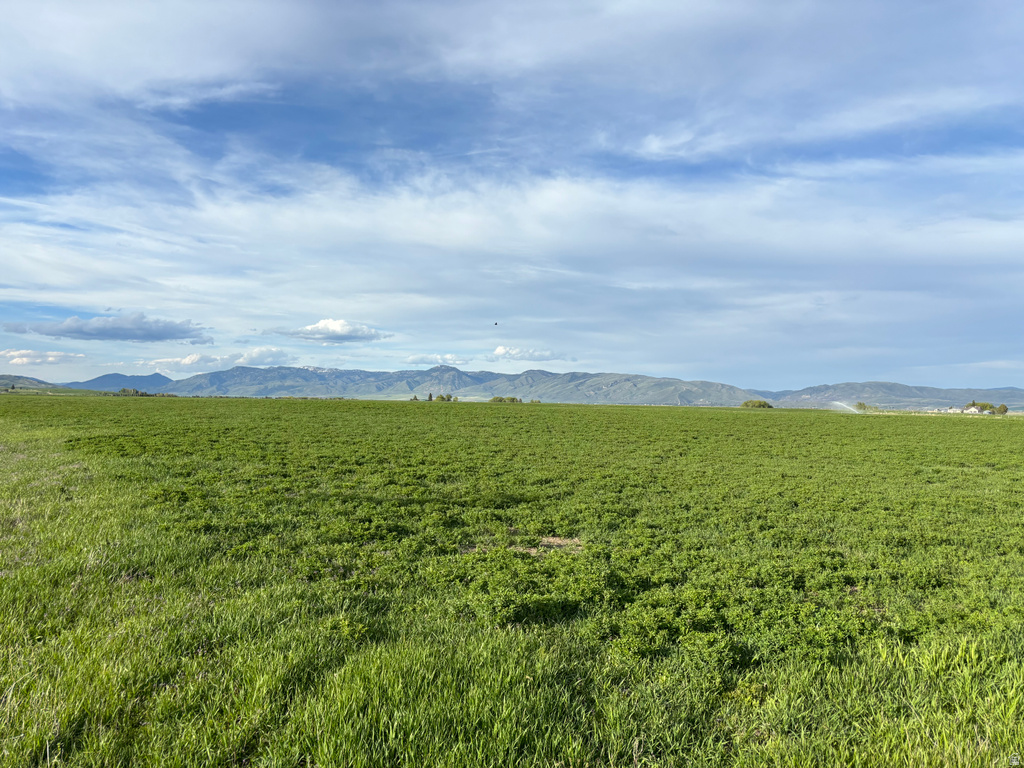 43  HUCKLEBERRY LN Montpelier, ID 83254