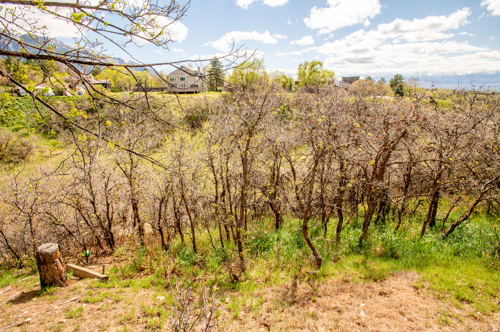 2534 E GRAND POINT CIR Sandy, UT 84092