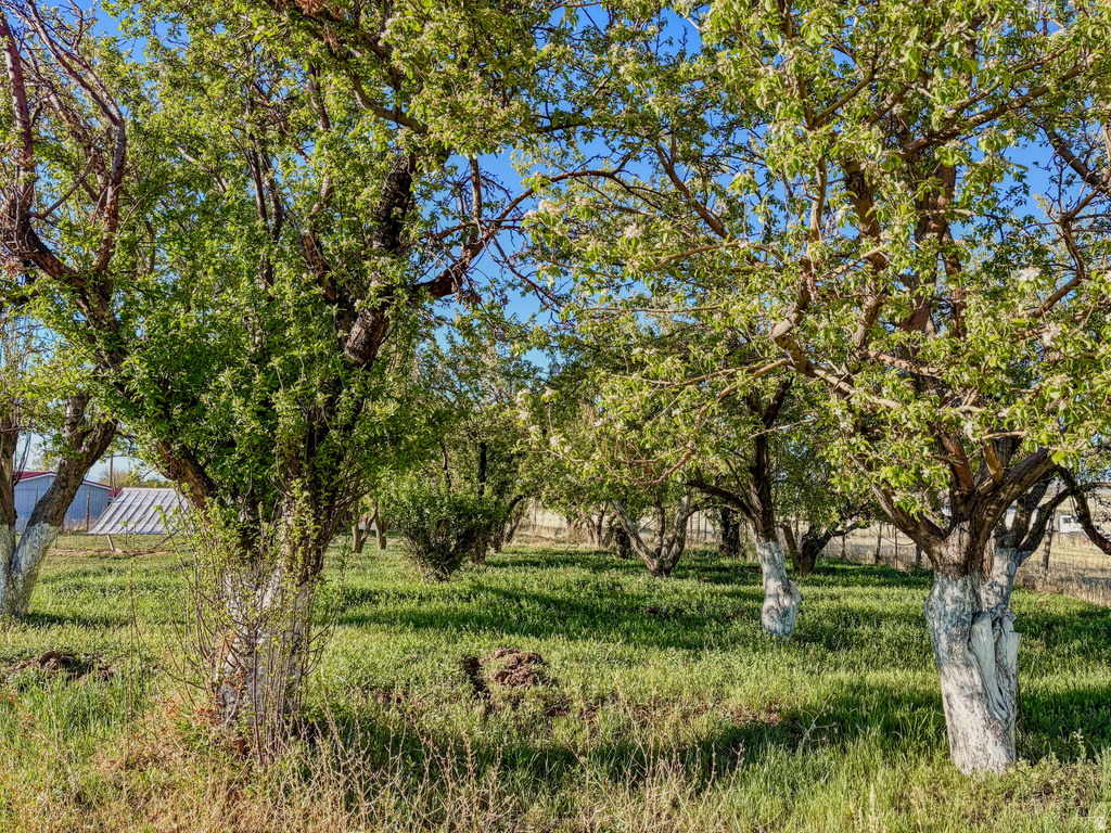 73 E 700 S Kanosh, UT 84637