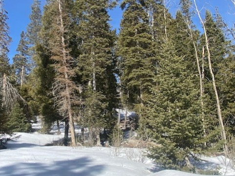 11 N 0011-0928 Duchesne, UT 84021
