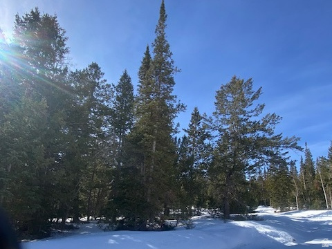 11 N 0011-0928 Duchesne, UT 84021