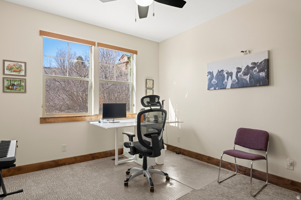 1428 N BROAD HOLLOW RD Garden City, UT 84028