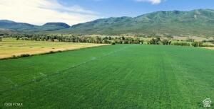 565 E MAIN CANYON RD Wallsburg, UT 84082