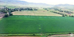 565 E MAIN CANYON RD Wallsburg, UT 84082