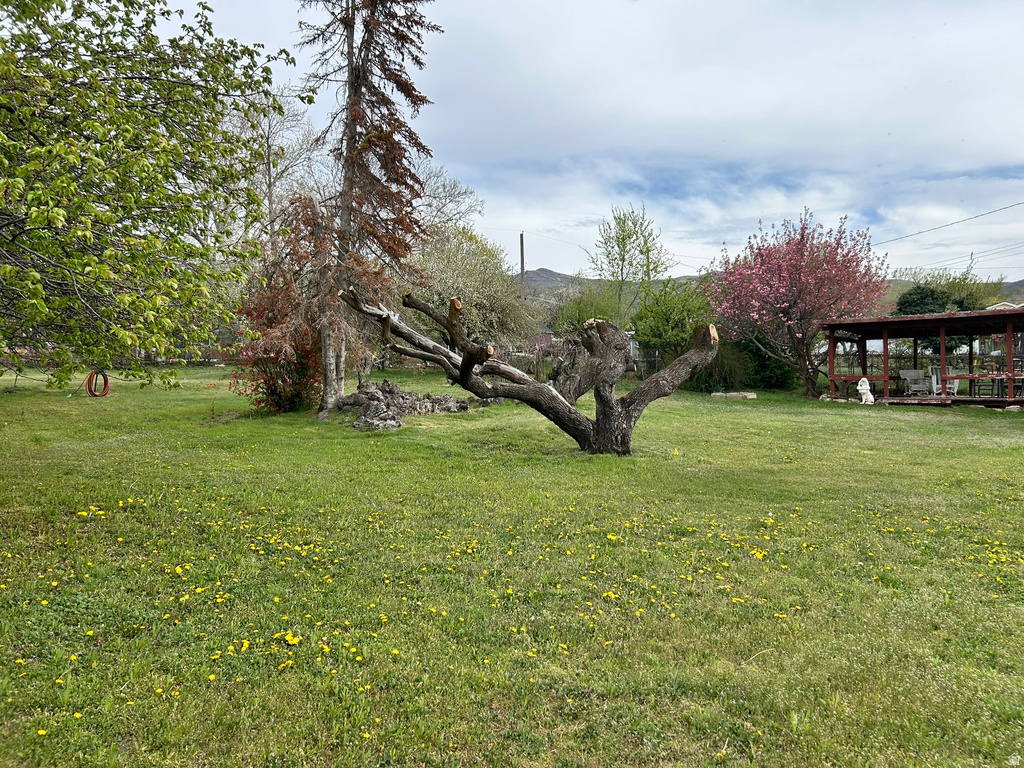 1195 S ORCHARD DR Bountiful, UT 84010