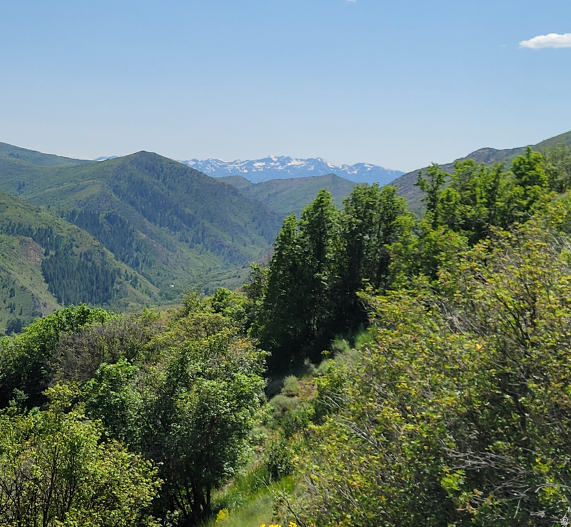 12737 E HIGH PINE CIR Huntsville, UT 84317