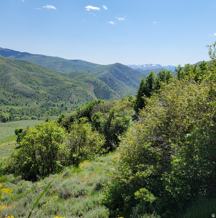 12737 E HIGH PINE CIR Huntsville, UT 84317