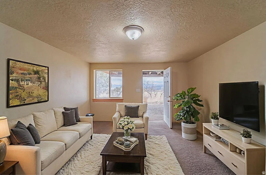 20030 N 12615 E Mt Pleasant, UT 84647