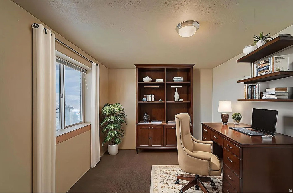 20030 N 12615 E Mt Pleasant, UT 84647