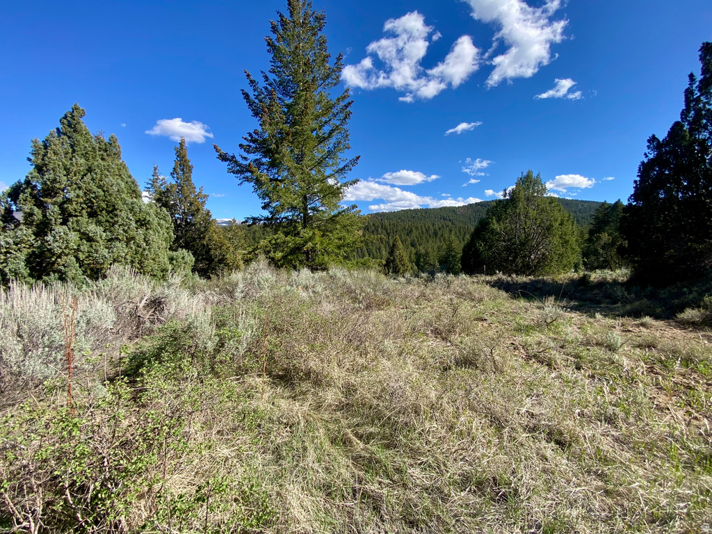  Lava Hot Springs, ID 83246