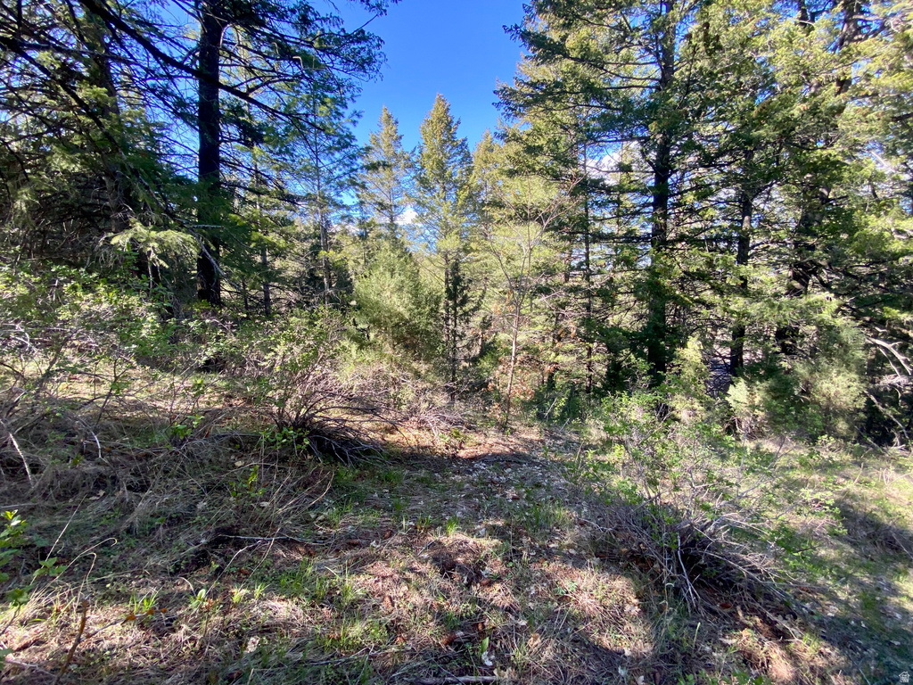  Lava Hot Springs, ID 83246