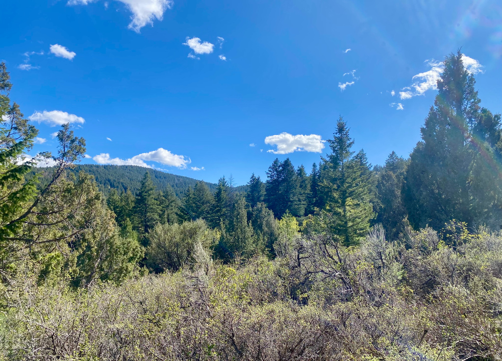  Lava Hot Springs, ID 83246