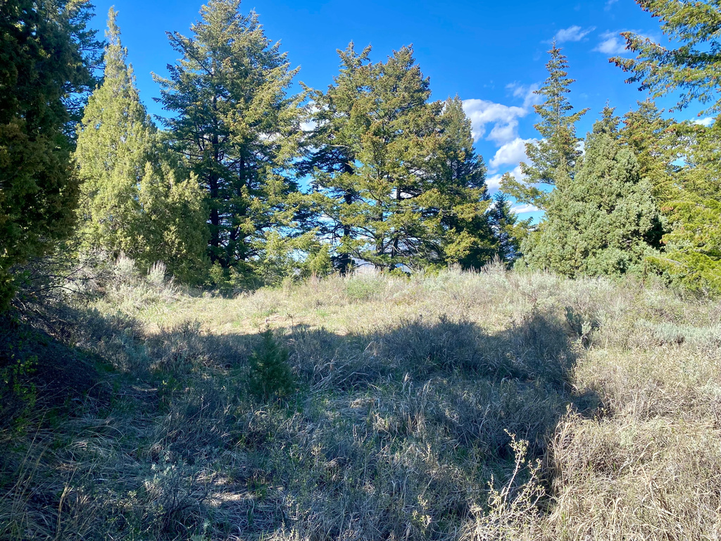  Lava Hot Springs, ID 83246