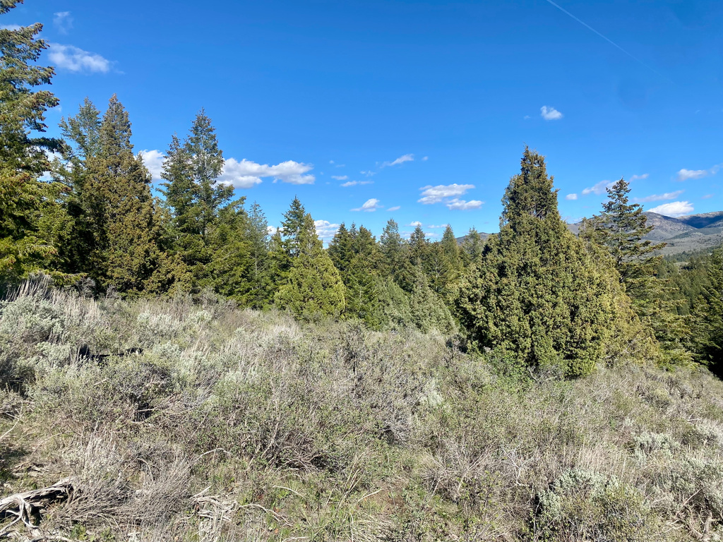  Lava Hot Springs, ID 83246