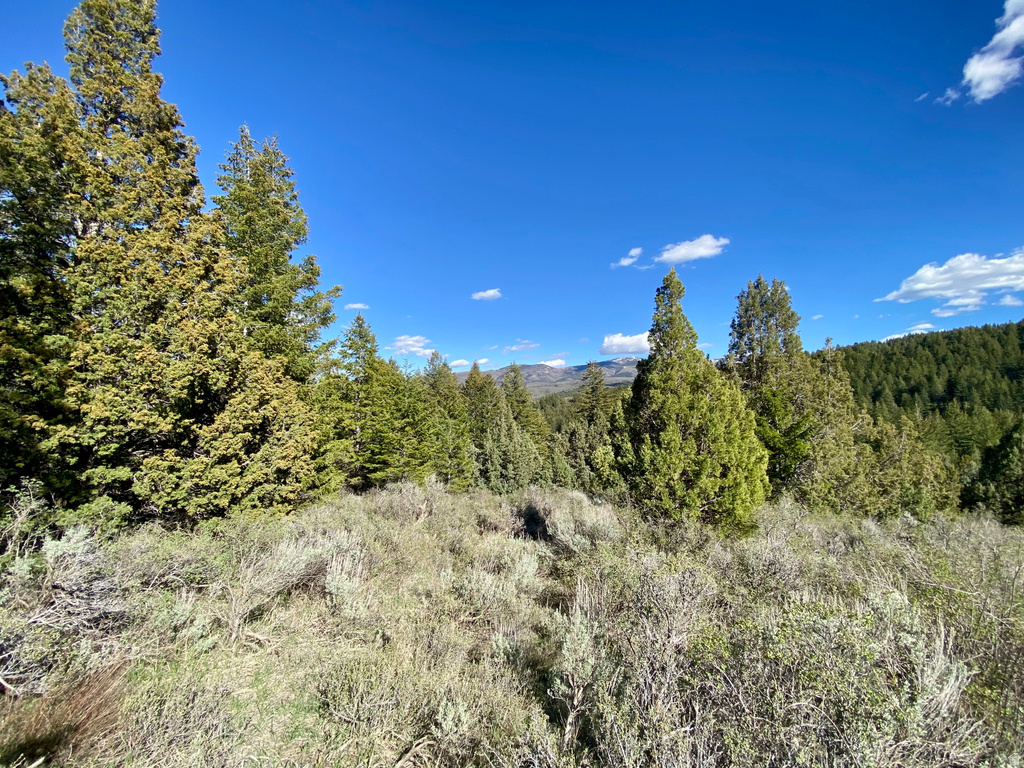  Lava Hot Springs, ID 83246
