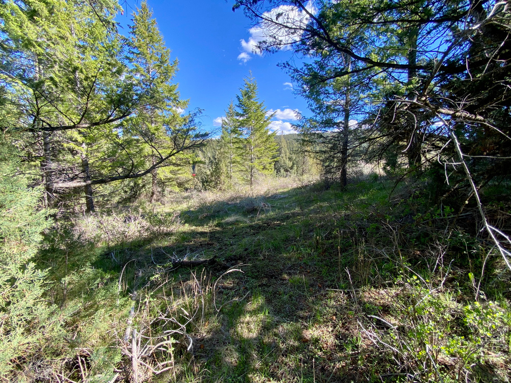  Lava Hot Springs, ID 83246